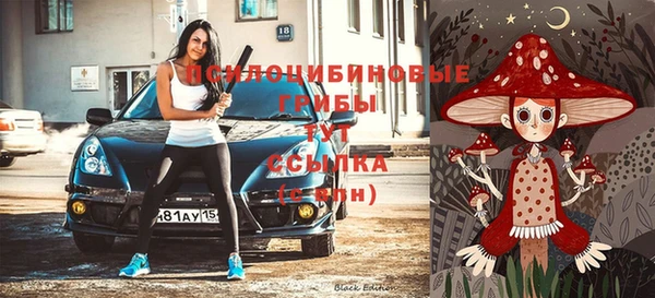 МДПВ Новокубанск