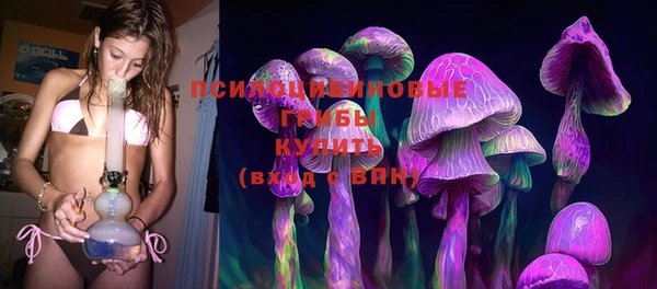 МДПВ Новокубанск