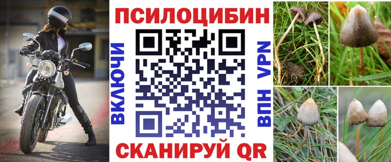 Псилоцибиновые грибы Psilocybe  что такое наркотик  Чебаркуль 